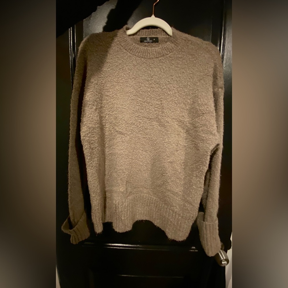 Elegant Tan Women's Crew Neck Sweater